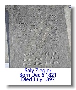 Ziegler- Saly